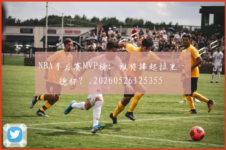 NBA季后赛MVP榜:谁将捧起拉里·伯德杯?_20260526125355