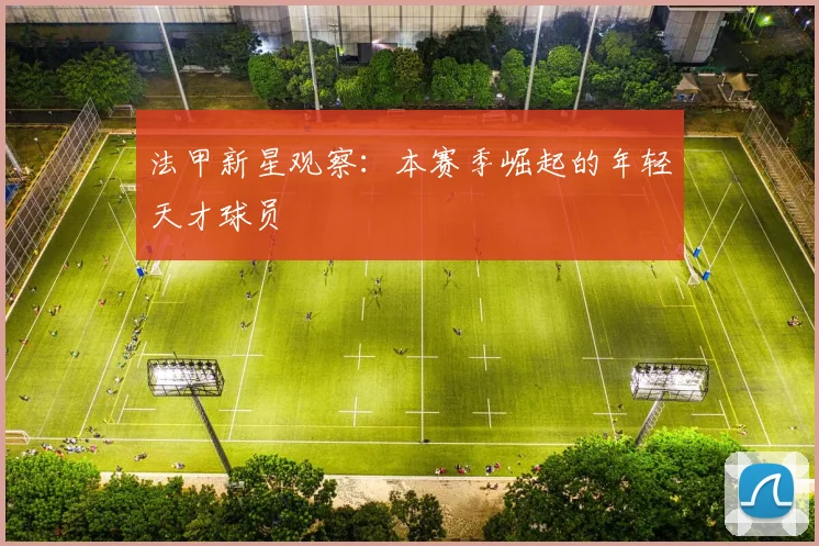 法甲新星观察：本赛季崛起的年轻天才球员